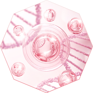Enhance your vitality and immune system with Lienjang's stem-cell IV drip treatment, promoting self-repair and rejuvenation of damaged skin