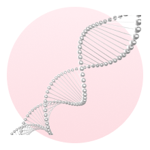Using your own stem cells, Lienjang's stem-cell IV drip promotes self-repair, revitalizing damaged body areas and skin for a more youthful appearance.