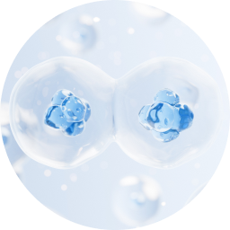 Stem-cell dermal injection therapy at Lienjang revitalizing the skin, replacing damaged cells, and improving skin texture and elasticity.