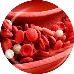 Stem-cell IV drip therapy at Lienjang using your own stem cells for safe, effective full-body rejuvenation and skin restoration